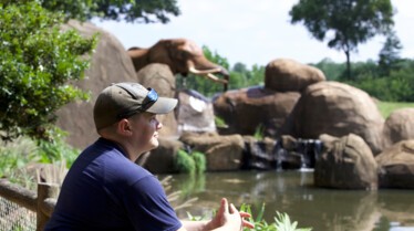 Une Saison au Zoo Episode 2.jpg