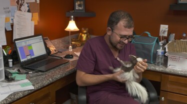 La clinique des animaux exotiques  Lapin, marmouset et kinkajou (2).jpg