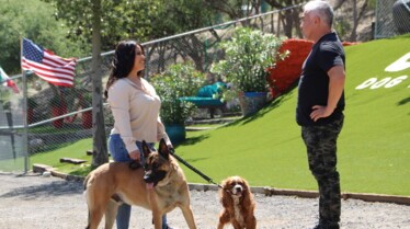 Peurs à vaincre (1).jpg