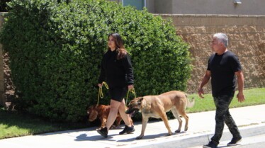 Peurs à vaincre (3).jpg