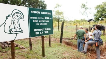 Les hippopotames d’Escobar (2).png