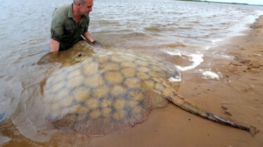 Last of the Giants Wild Fish (3).jpg