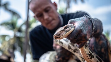 Snake City (3).jpg