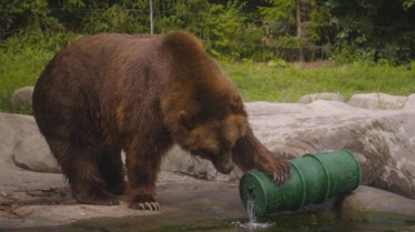 Au coeur du zoo (4).jpg