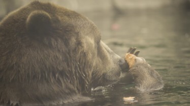 Au coeur du zoo (1).jpg