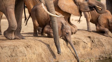À la poursuite des pluies africaines (1).jpg