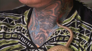 Snakes In The City  Les justiciers masqués (2).jpg