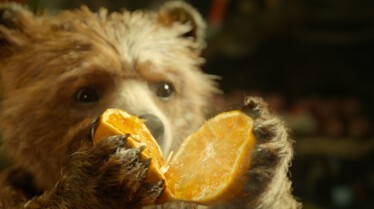 Paddington (20).jpg