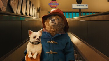 Paddington (23).jpg