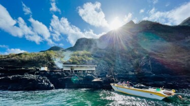 Derniers géants (1).jpeg