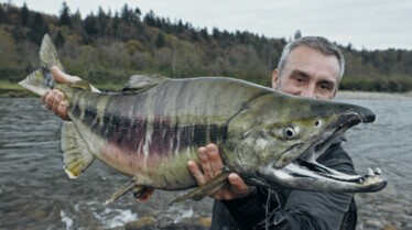 Derniers géants (2).JPG