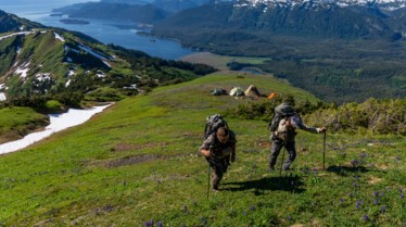 Incredible Animal Journeys Alaska's River Rice (2).jpg