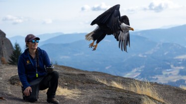 Incredible Animal Journeys Alaska's River Rice (3).jpg
