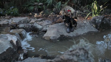 Les génies des bassins  Bienvenue dans la jungle (2).jpg