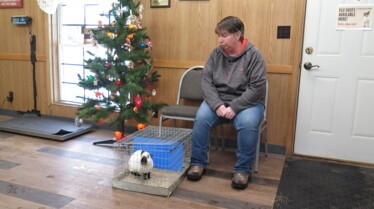 L'incroyable Dr Pol  Le grand retour (4).jpg