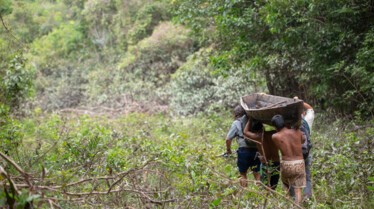 Pêcheur de légende  Géant de la jungle (3).jpg