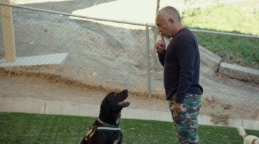 Cesar Millan Better Human Better Dog (3).jpg