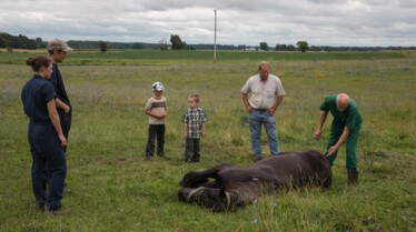 L'incroyable Dr Pol  Athena et Atlas (2).jpg