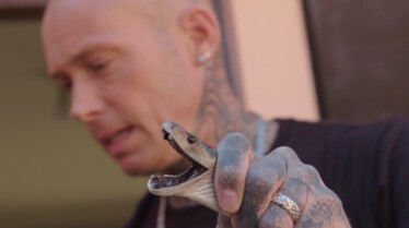 Snakes In The City  Mamba dans mon placard (3).jpg