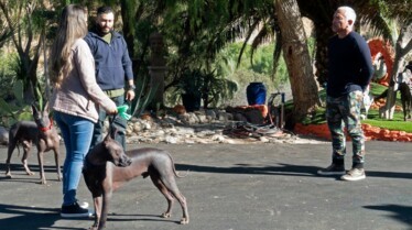 Cesar Millan Better Human Better Dog (1).jpg