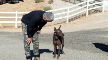 Cesar Millan Better Human Better Dog (3).jpg