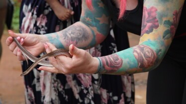 Snake City (3).jpg