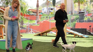 Cesar Millan Better Human Better Dog (2).jpg