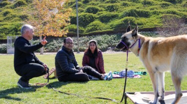 Cesar Millan Better Human Better Dog (2).jpg