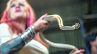 Snake City (2).jpg