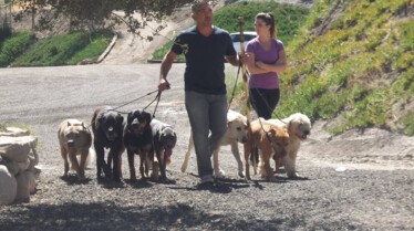 Cesar 911 (2).JPG