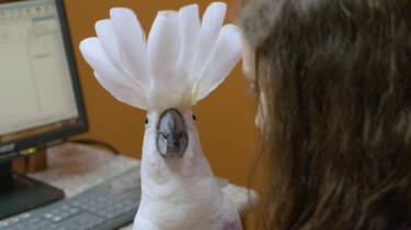 La clinique des animaux exotiques  Petites bêtes (2).JPG