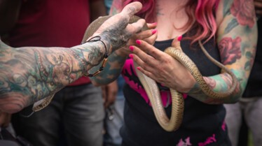 Snake City (1).jpg