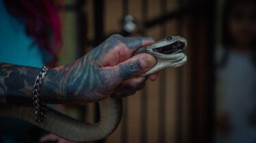 Snake City (3).jpg