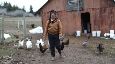 Homestead Reborn (2).jpg