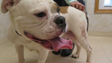 She Works Hard For The Bunny (1).jpg