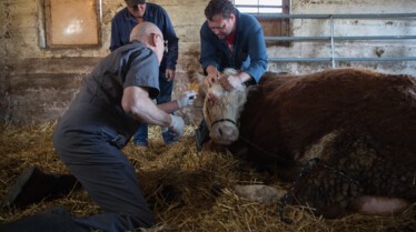 She Works Hard For The Bunny (3).jpg