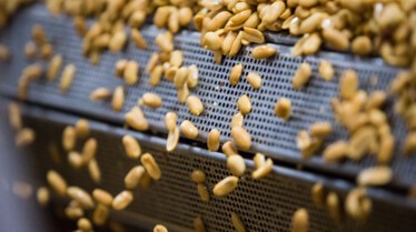 Food factory  Pour des cacahuètes (1).jpg