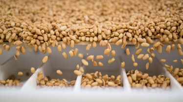 Food factory  Pour des cacahuètes (3).jpg