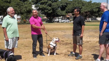 SOS Cesar  Truffle l’agité (1).JPG