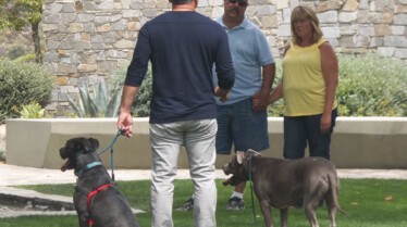 SOS Cesar  Truffle l’agité (2).JPG