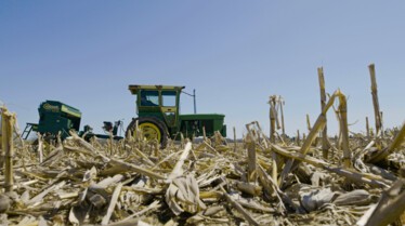 Une ferme est née (3).jpg