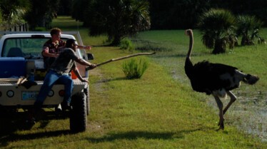 Swamp Men (1).JPG