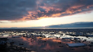 Bienvenue à Moose Point (2).jpg