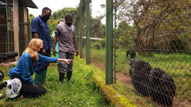 Trafic de singes (1).jpg