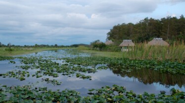Les cowboys des marais  Evasion chez les alligators (2).JPG