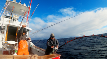 Pêche à haut risque  nord contre sud - Grand bleu pour thon rouge (2).png