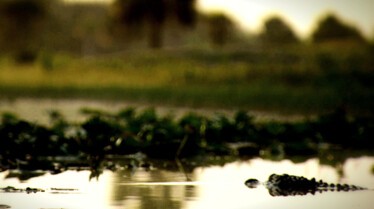 Les cowboys des marais  Tempête en vue (3).JPG