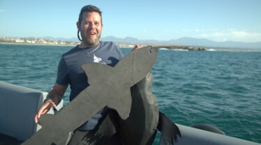 Shark Eat Shark (1).jpg
