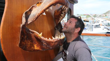 Shark Eat Shark (3).jpg