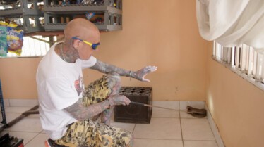 Snakes in the city Sang frais (3).jpg